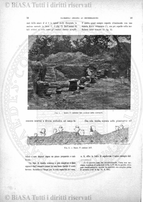 n. 11 (1785) - Pagina: 81