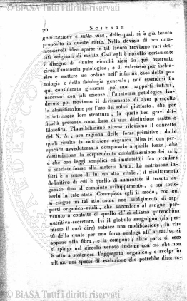 n. 11 (1907) - Copertina: 1 e sommario