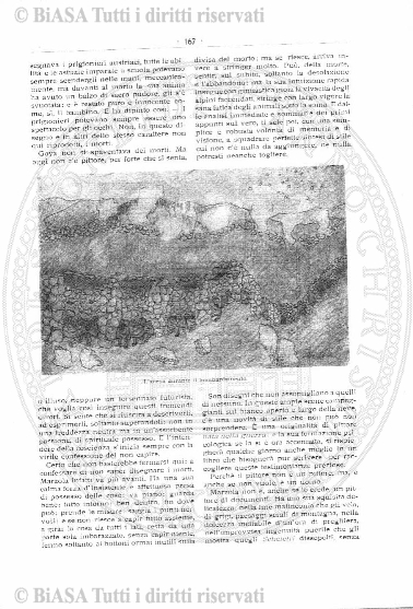 supplemento, v. 2 (1916) - Pagina: 1