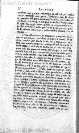 n. 3 (1889) - Pagina: 5