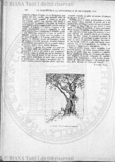 v. 2, n. 7 (1916) - Pagina: 131