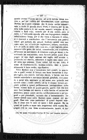 n. 8 (1914) - Copertina: 1