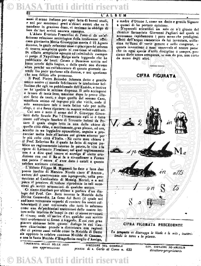 s. 2, n. 17 (1890-1891) - Pagina: 385