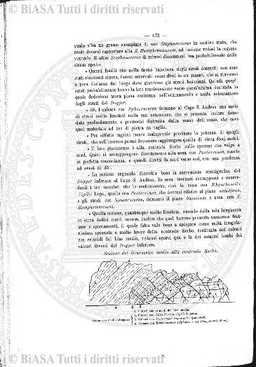n. 6 (1933) - Pagina: 117