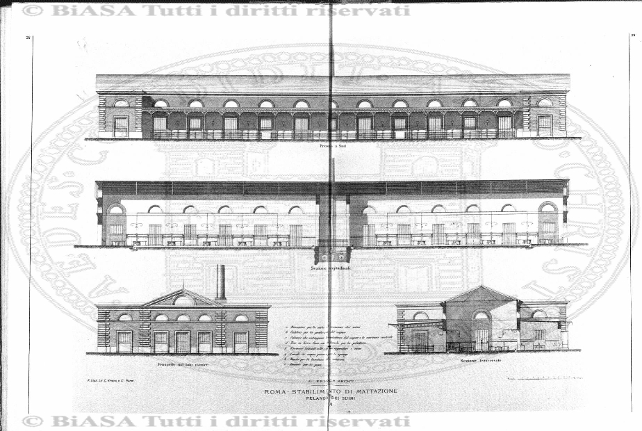 n. 10 (1880) - Pagina: 19