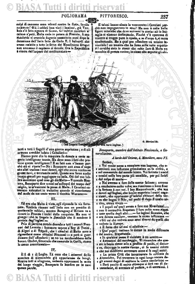 s. 3, n. 22 (1894) - Pagina: 337