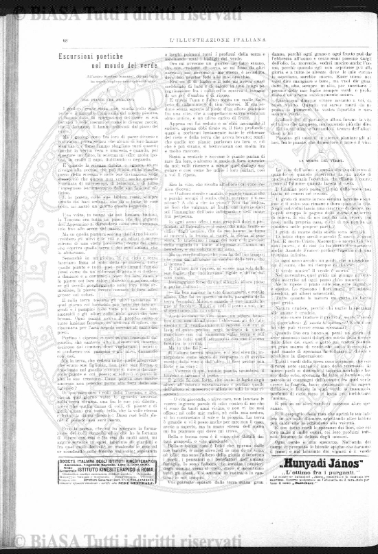 n. 3-4 (1880) - Pagina: 33