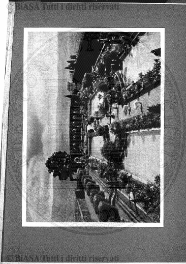 n. 5 (1904) - Copertina: 1