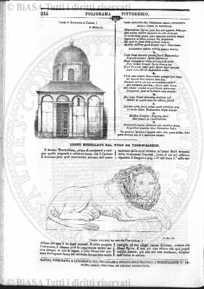 n. 20 (1890-1891) - Pagina: XVII