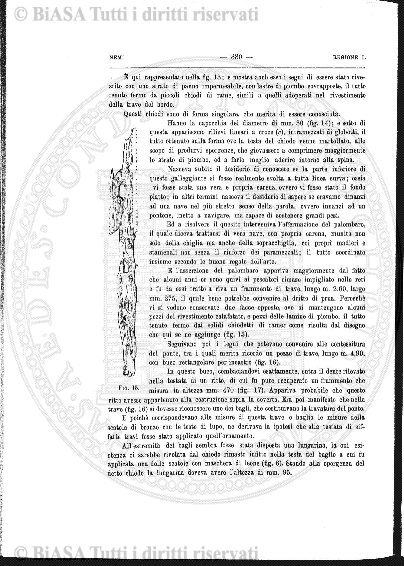 s. 3, n. 1 (1894) - Copertina: 1