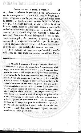 n.s., v. 12, n. 1 (1941) - Copertina: 1 e sommario