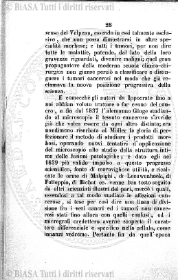 s. 3, n. 24 (1894) - Pagina: 369