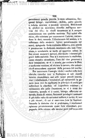 n. 33 (1888) - Frontespizio