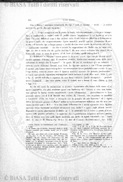 s. 2, v. 10, n. 6 (1875) - Pagina: 177