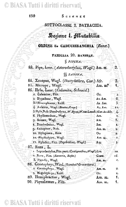 n.s., nov-dic (1891) - Pagina: 69