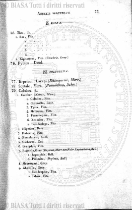 n. 7 (1876) - Pagina: 117
