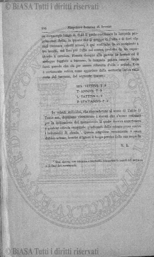 v. 2, n. 6 (1893) - Pagina: 81