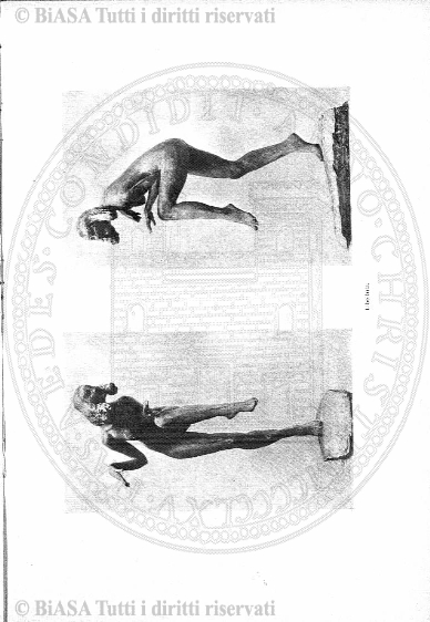 v. 1, n. 3 (1892) - Pagina: 33