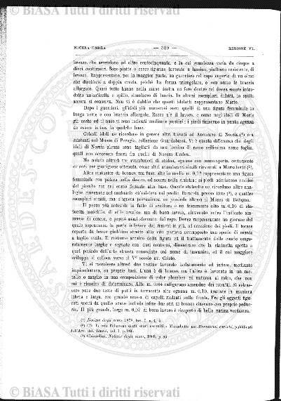 n. 39 (1877) - Frontespizio e sommario