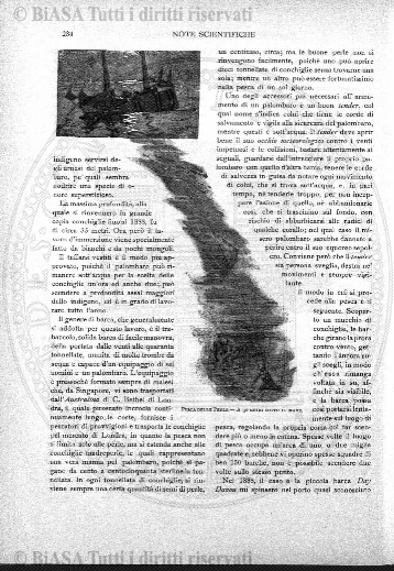 v. 6, n. 25 (1841-1842) - Pagina: 197