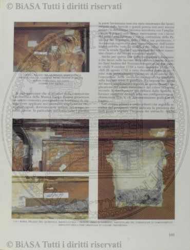 n. 7 (1878) - Pagina: 433