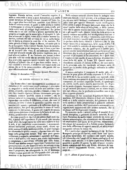 1901 (1901) - Occhietto