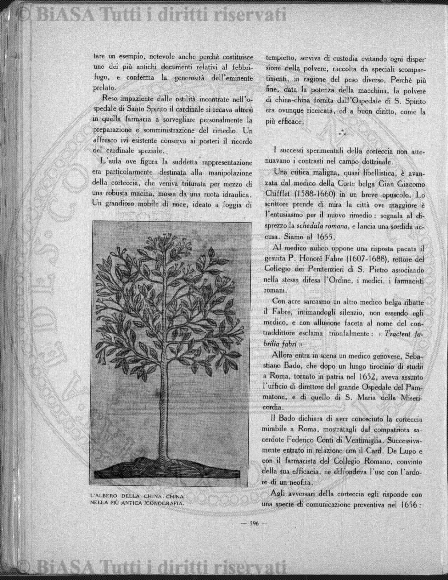 v. 17, parte 1, n. 5 (1893-1896) - Pagina: 1