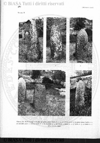 n. 5 (1903) - Copertina: 1 e sommario