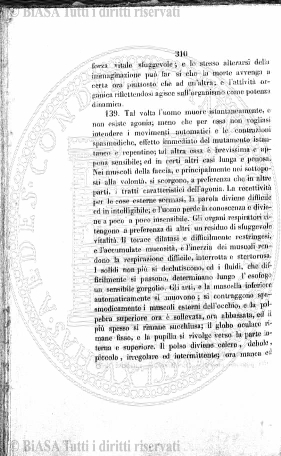 n. 2 (1928) - Pagina: 13