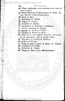 v. 3, n. 25 (1838-1839) - Pagina: 197