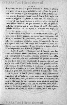 v. 21, n. 126 (1905) - Copertina: 1