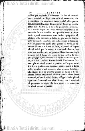 v. 29, n. 2 (1923) - Pagina: 409-410