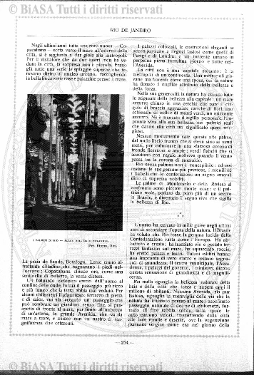 s. 4, n. 6 (1887) - Copertina: 1