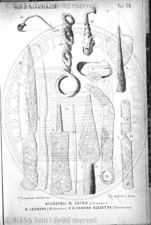 v. 14, n. 1 (1847-1848) - Copertina: 1