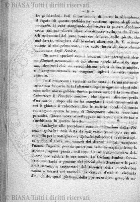 n. 32 (1784) - Pagina: 249
