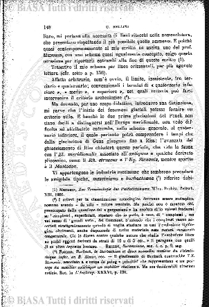 n. 31 (1883) - Pagina: 241 e sommario