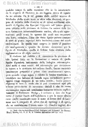 n. 20 (1893) - Frontespizio