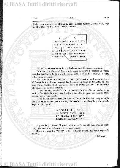 n. 11-12 (1882) - Pagina: 225
