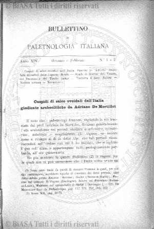 n. 5 (1874-1875) - Sommario: p. 33