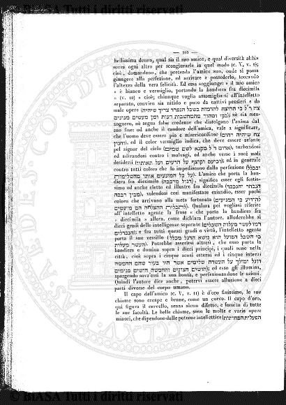 n. 11 (1904) - Copertina: 1 e sommario