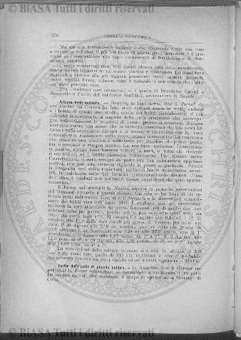 n. 12 (1908) - Frontespizio