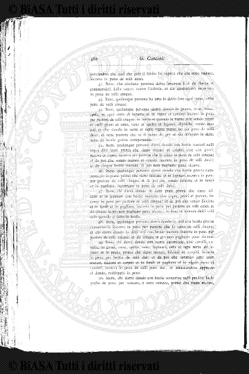 v. 10, n. 11 (1901) - Pagina: 161