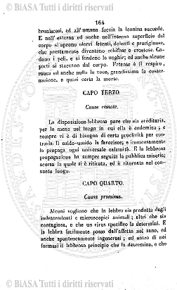 s. 2, n. 17 (1892-1893) - Pagina: 385