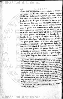 n. 49-50 (1916) - Frontespizio