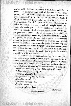 v. 1, n. 1-2 (1892) - Occhietto