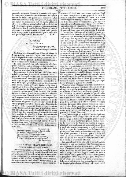s. 4, n. 12 (1885) - Sommario: p. 177
