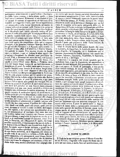 v. 8, n. 28 (1781-1782) - Pagina: 217