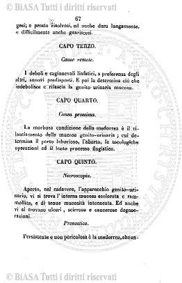v. 16, n. 22 (1789-1790) - Pagina: 169