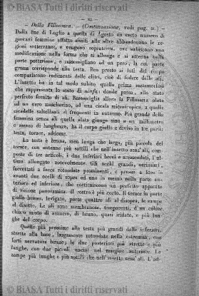 n. 12 (1893) - Frontespizio