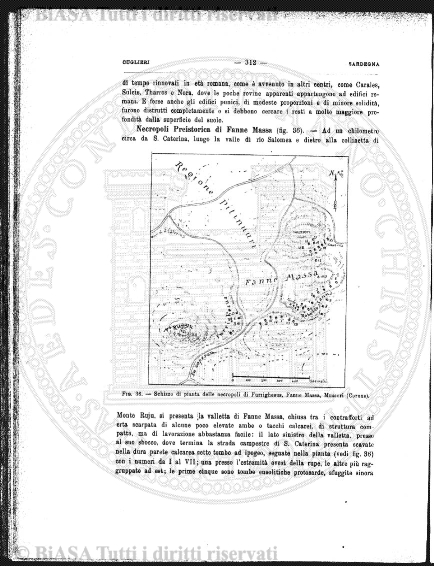 n. 20 (1843-1844) - Pagina: 17